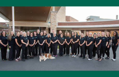 The nursing team at the Kendall Emergency Department at Southwestern Vermont Medical Center (SVMC), pictured here, recently received national recognition for excellence.