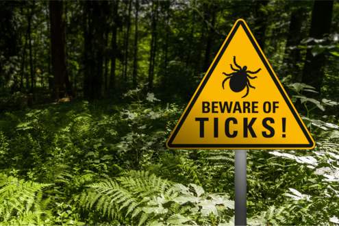 Be on high alert for ticks